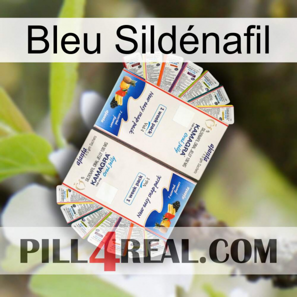 Bleu Sildénafil kamagra1.jpg